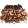 Hairporium Curly Human Hair Bundles - 6 Pieces 100% Human Hair Weave Extensions, Multiple Colors (1B/2/4/30/33/99J) Hairporium 1