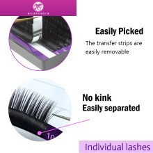 Hairporium 16 Rows Classic Individual Eyelash Extension Lashes - Matte Black, Soft & Natural for Professional Use Hairporium 1 -