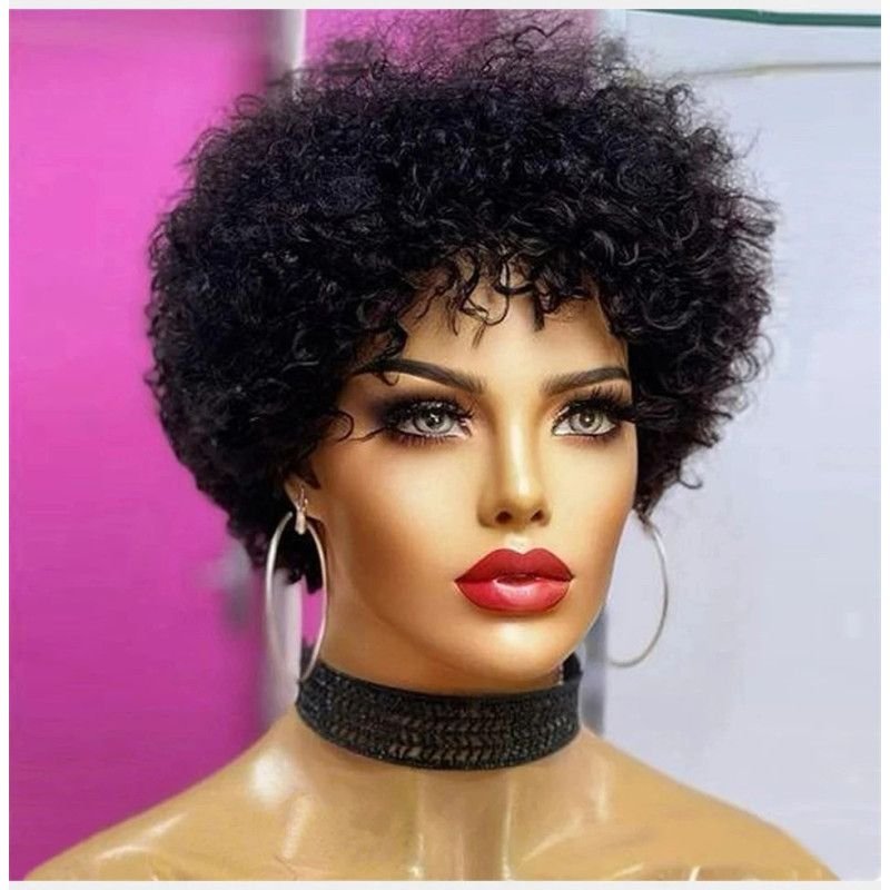 Hairporium Afro Kinky Curly Wig – Bouncy Brazilian Remy Human Hair for Black Women Hairporium 2 - Hairporium 