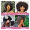 Short Afro Kinky Curly Human Hair Wig With Bangs Fluffy Natural Bob Wigs Brazilian Full Wigs Hairporium 6 - Hairporium 