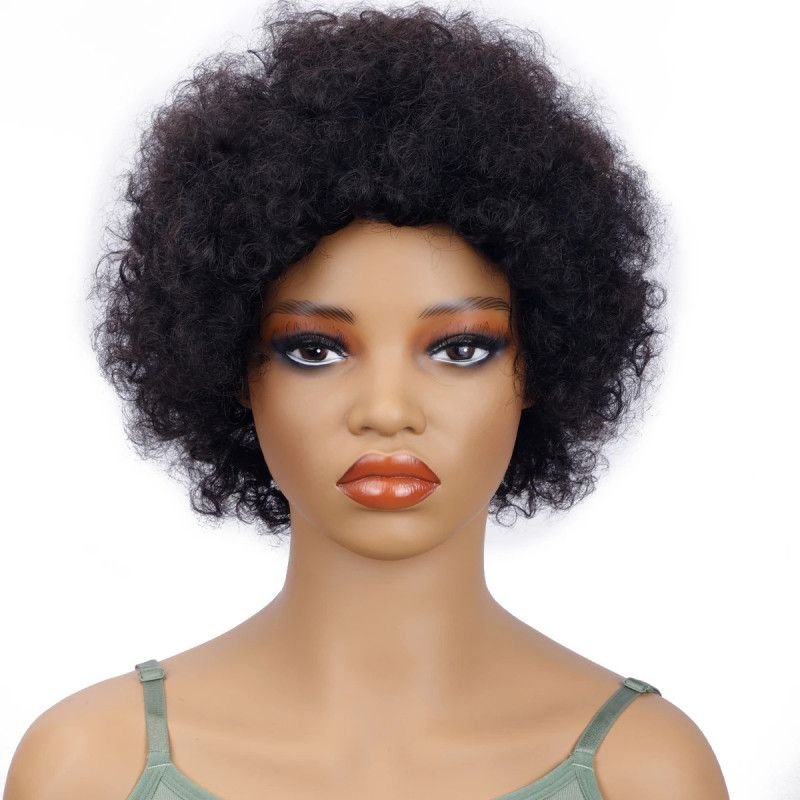 Hairporium Afro Kinky Curly Pixie Cut Human Hair Wig – Natural Looking Fluffy Short Wig for Women Hairporium 1 - Hairporium 