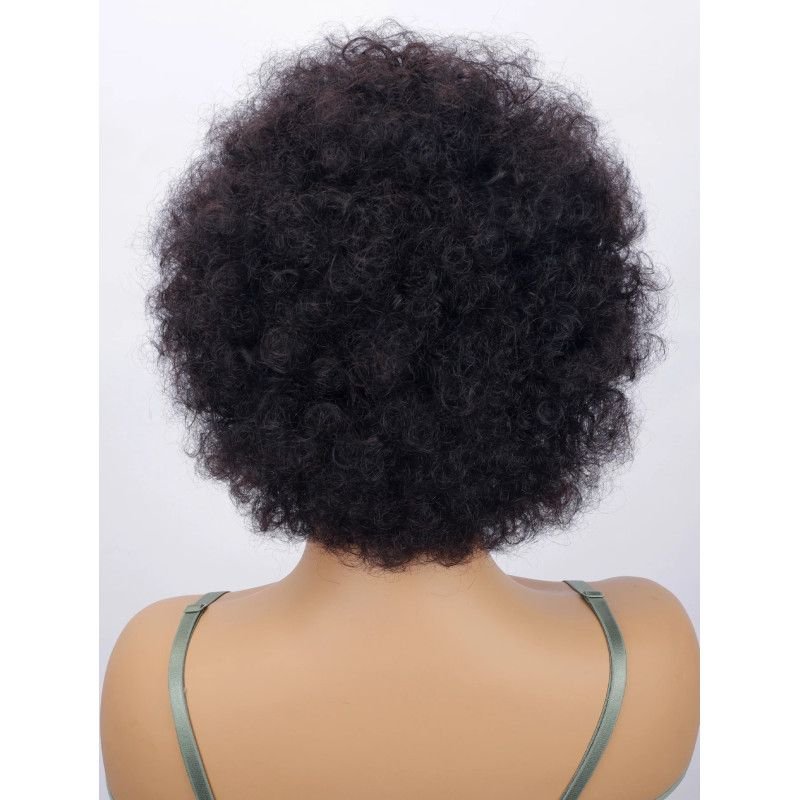 Hairporium Afro Kinky Curly Pixie Cut Human Hair Wig – Natural Looking Fluffy Short Wig for Women Hairporium 1 - Hairporium 