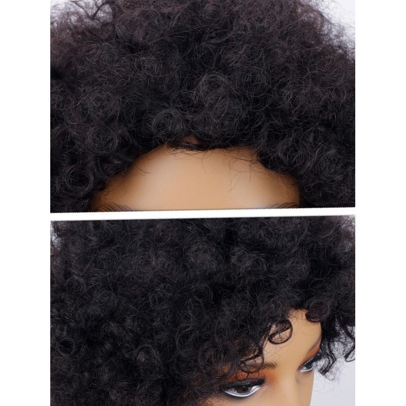 Hairporium Afro Kinky Curly Pixie Cut Human Hair Wig – Natural Looking Fluffy Short Wig for Women Hairporium 1 - Hairporium 